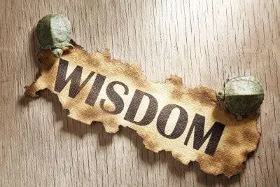 Two turtles on a wooden surface with a torn paper labeled WISDOM in bold letters