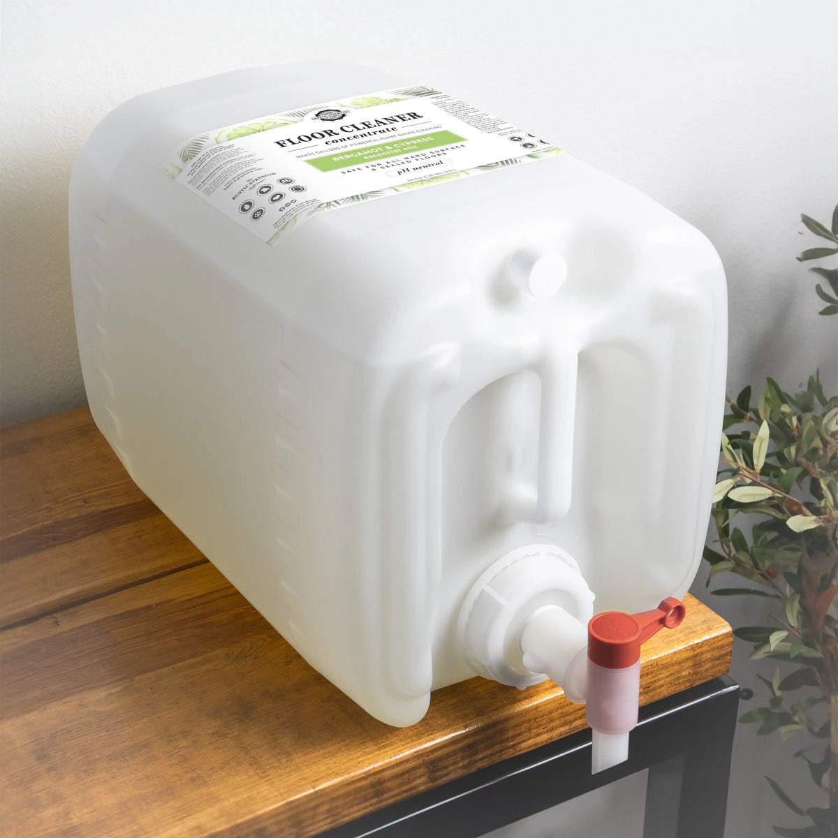 Floor Cleaner Concentrate | Bergamot & Cypress Rustic Strength