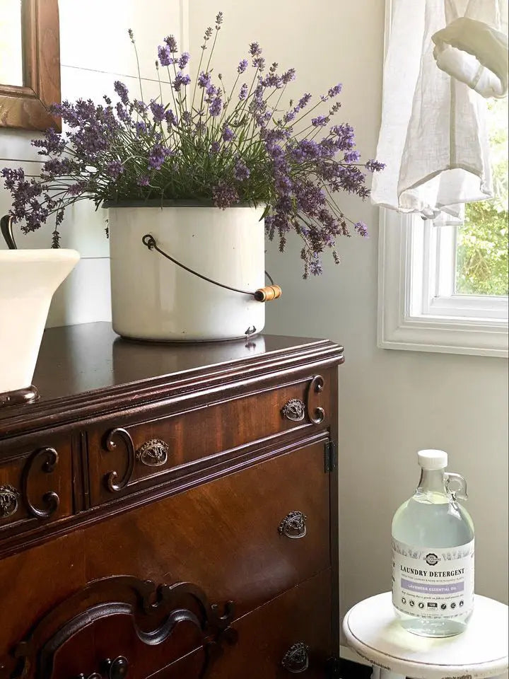 Laundry Detergent | Lavender Rustic Strength