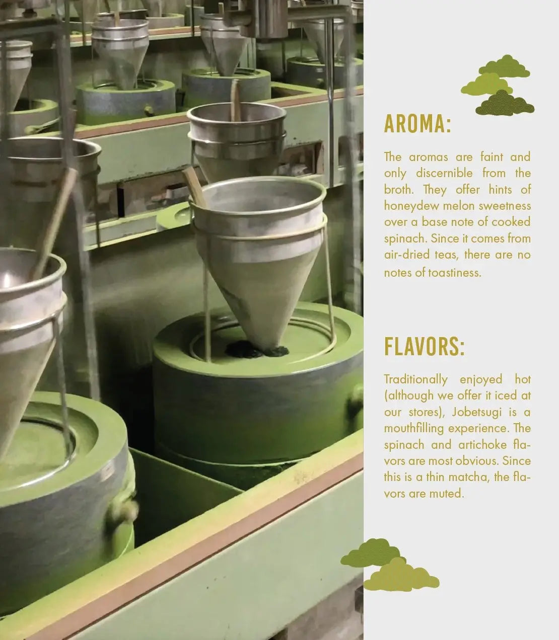 Organic Matcha Harney & Sons Fine Teas