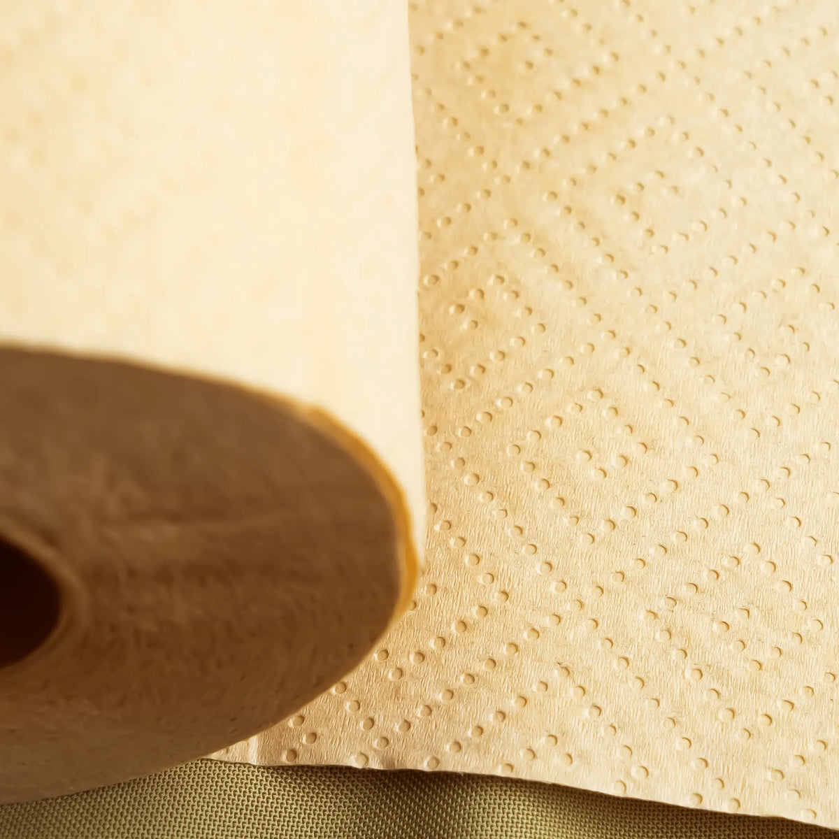 Panda Eco Paper | Bamboo Paper Towels Rustic Strength