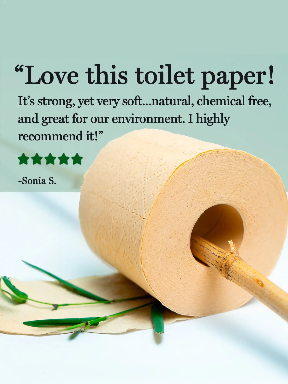 Panda Eco Paper | Bamboo Toilet Paper Rustic Strength