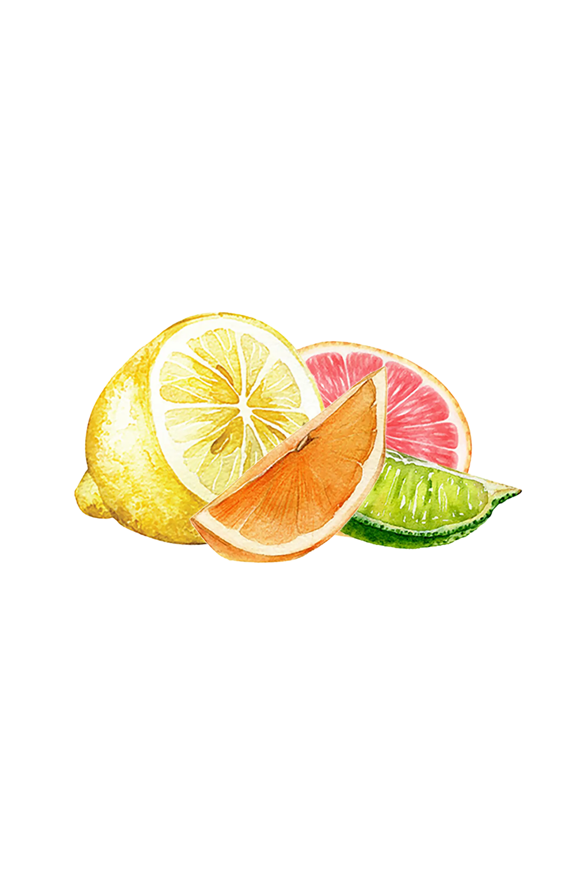 Floor Cleaner Concentrate | Lemon, Lime, Orange & Grapefruit Rustic Strength