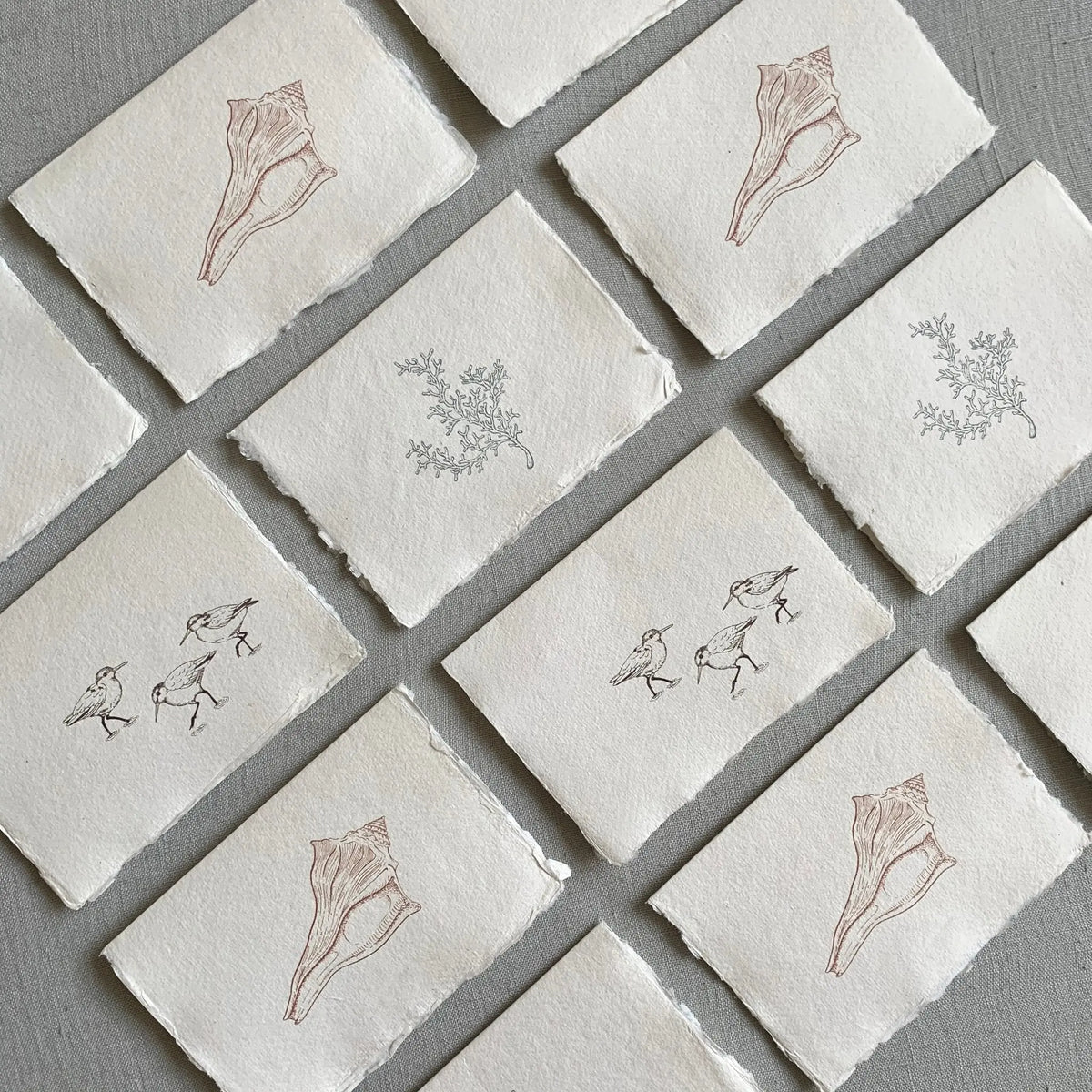 Coastal Set // Deckled Edge Cards Jen Simpson Design, LLC