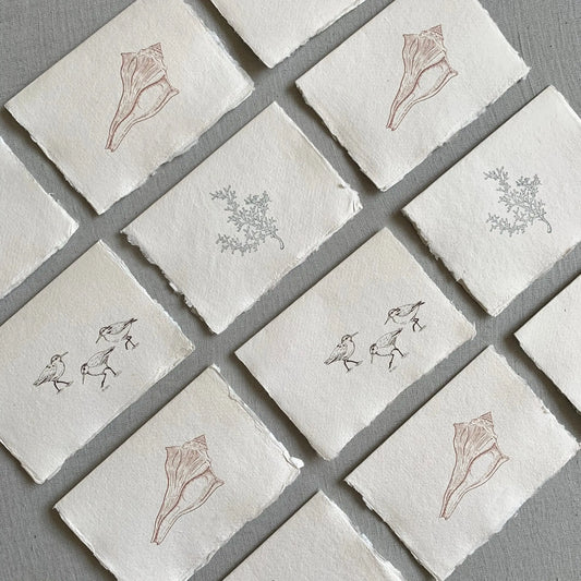 Coastal Set // Deckled Edge Cards Jen Simpson Design, LLC