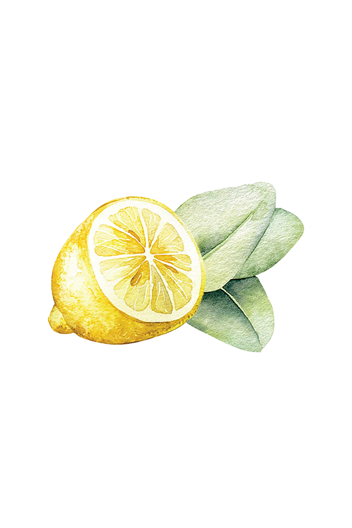 Dish Soap | Lemon & Eucalyptus Rustic Strength