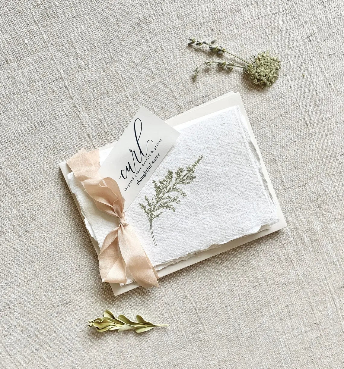 Nature Set // Deckled Edge Cards Jen Simpson Design, LLC