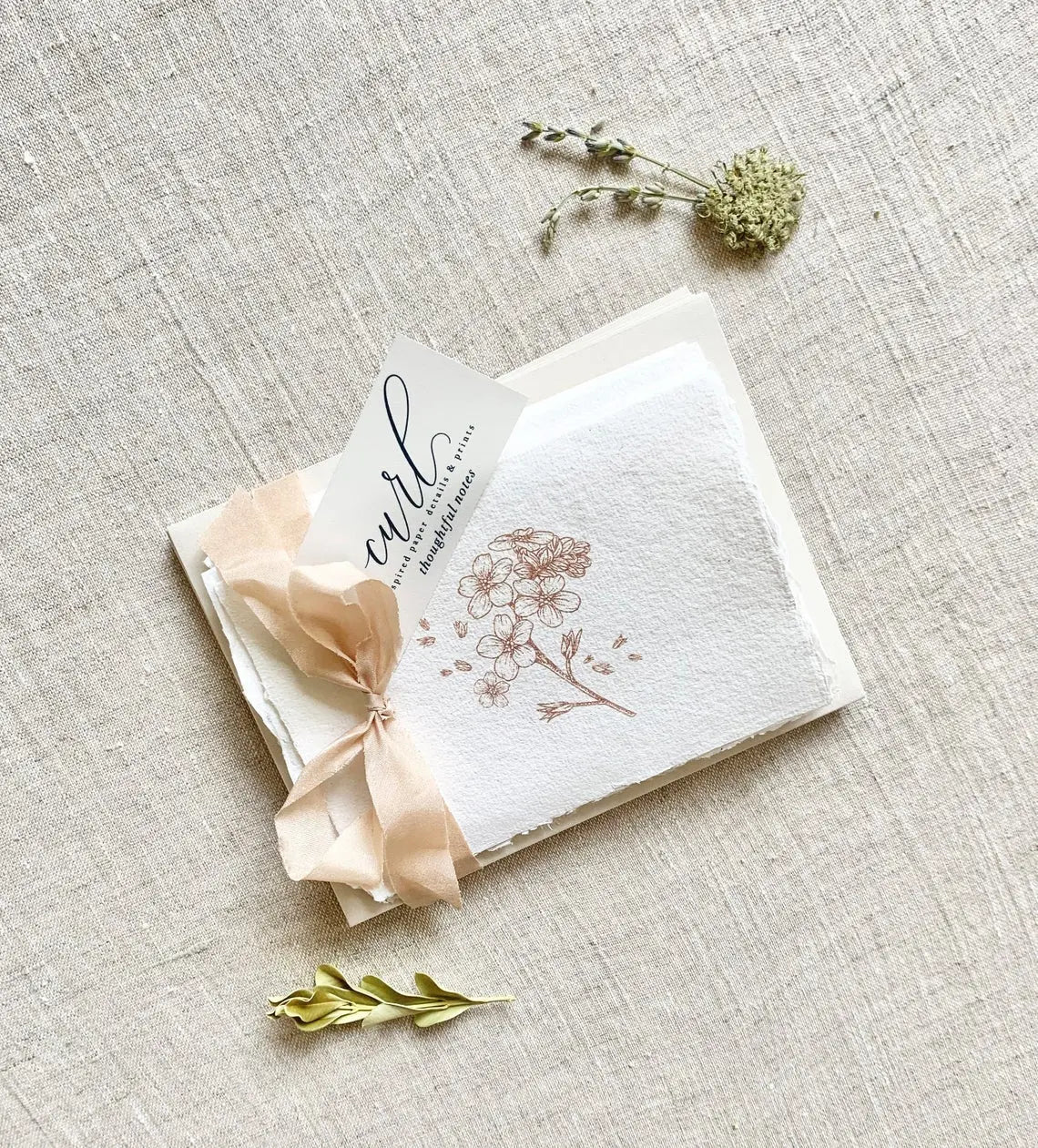 Nature Set // Deckled Edge Cards Jen Simpson Design, LLC