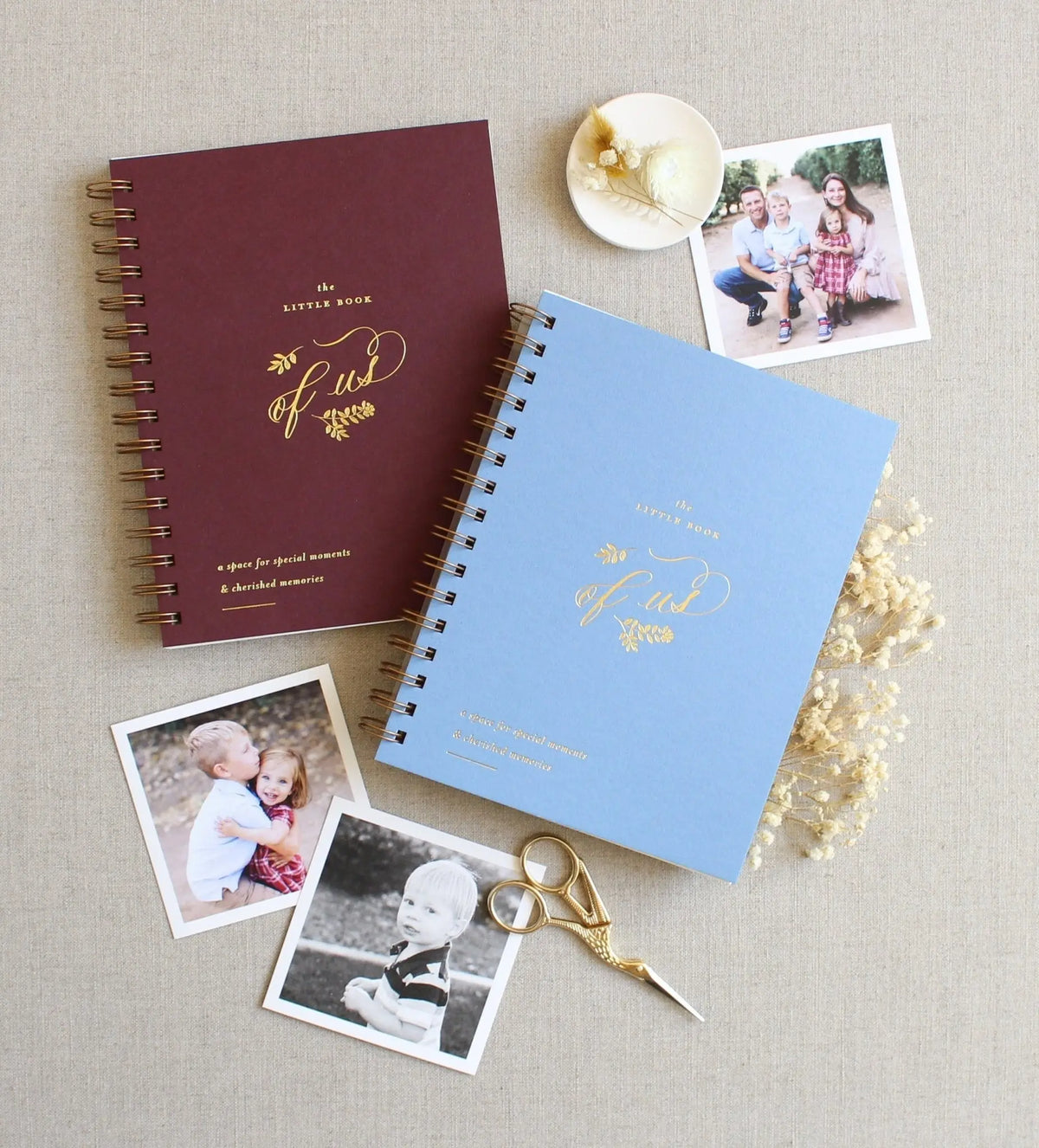 The New Chapter Box Jen Simpson Design, LLC