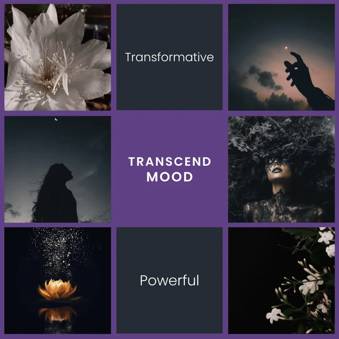 Transcend – Black Plum, Jasmine, & Sandalwood Room Spray Vibe & Glo Candle Studio